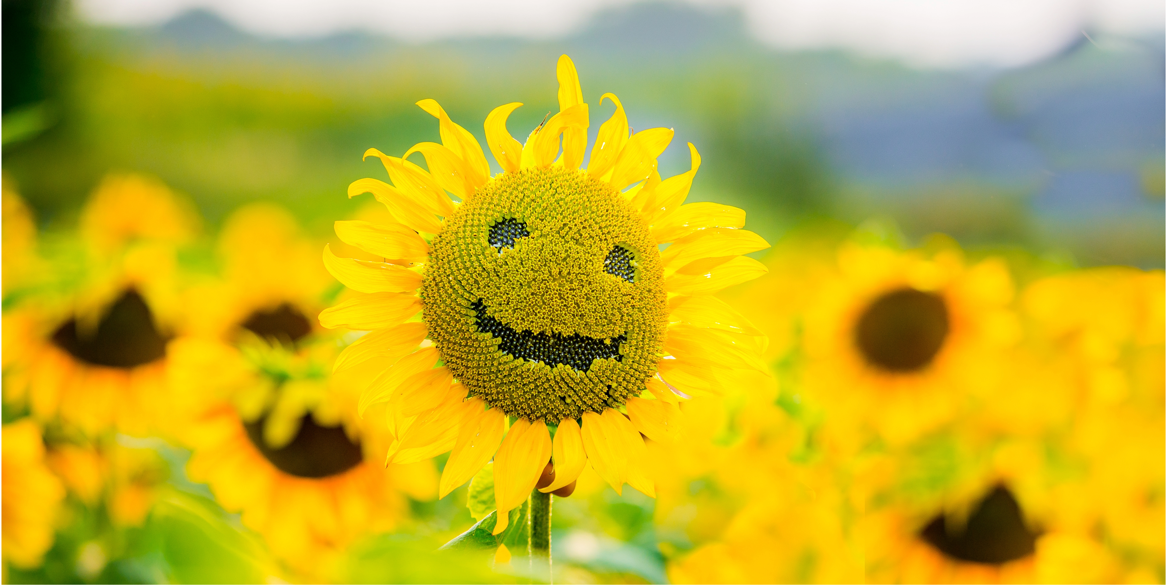 Positivity